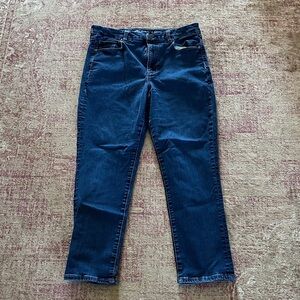 American Eagle Outfitters Indigo Straight Leg Jeans size 14 short